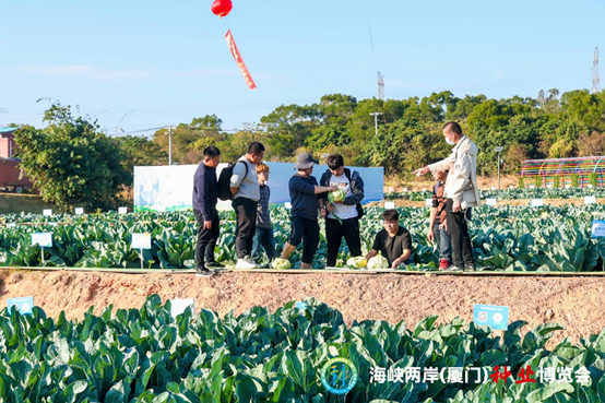 广西最新种植项目，探索绿色发展的前沿领域