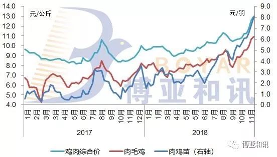 山东白羽肉鸡最新价格动态分析