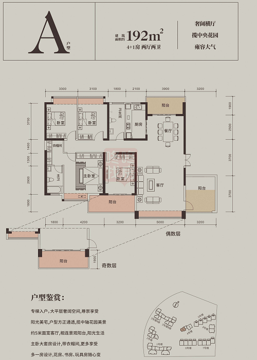 中山紫园最新价格动态及其市场影响力